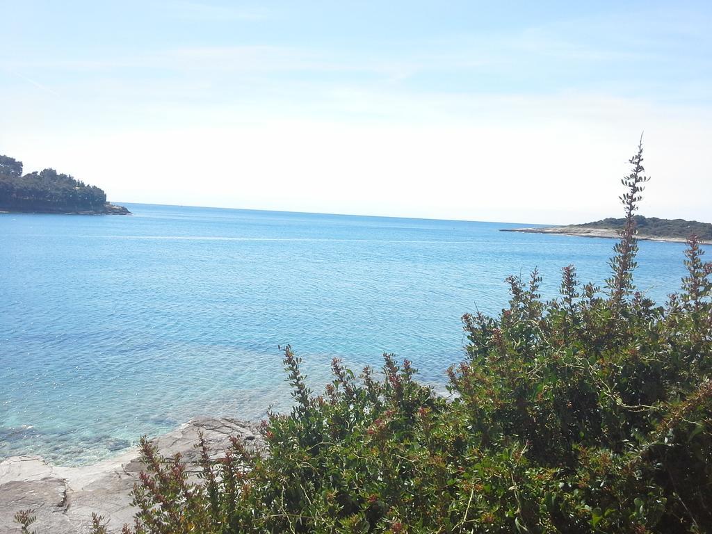 Apartment Greta,50 Meters To The Beach Banjole Δωμάτιο φωτογραφία